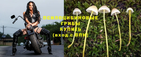 спиды Бугульма