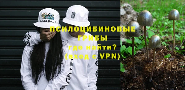 гашиш Бородино