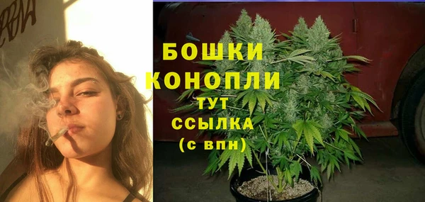 тгк Бронницы