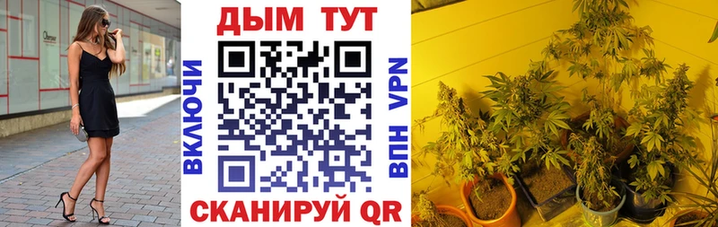 Канабис Bruce Banner  Волгодонск 